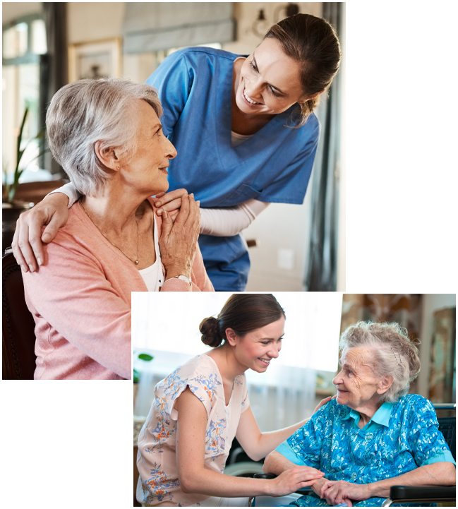 intro-image-home-page
